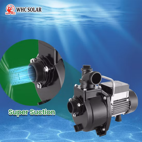 Bomba de agua solar sumergible para pozo profundo, CC de 1,25 pulgadas y 4 pulgadas, CA